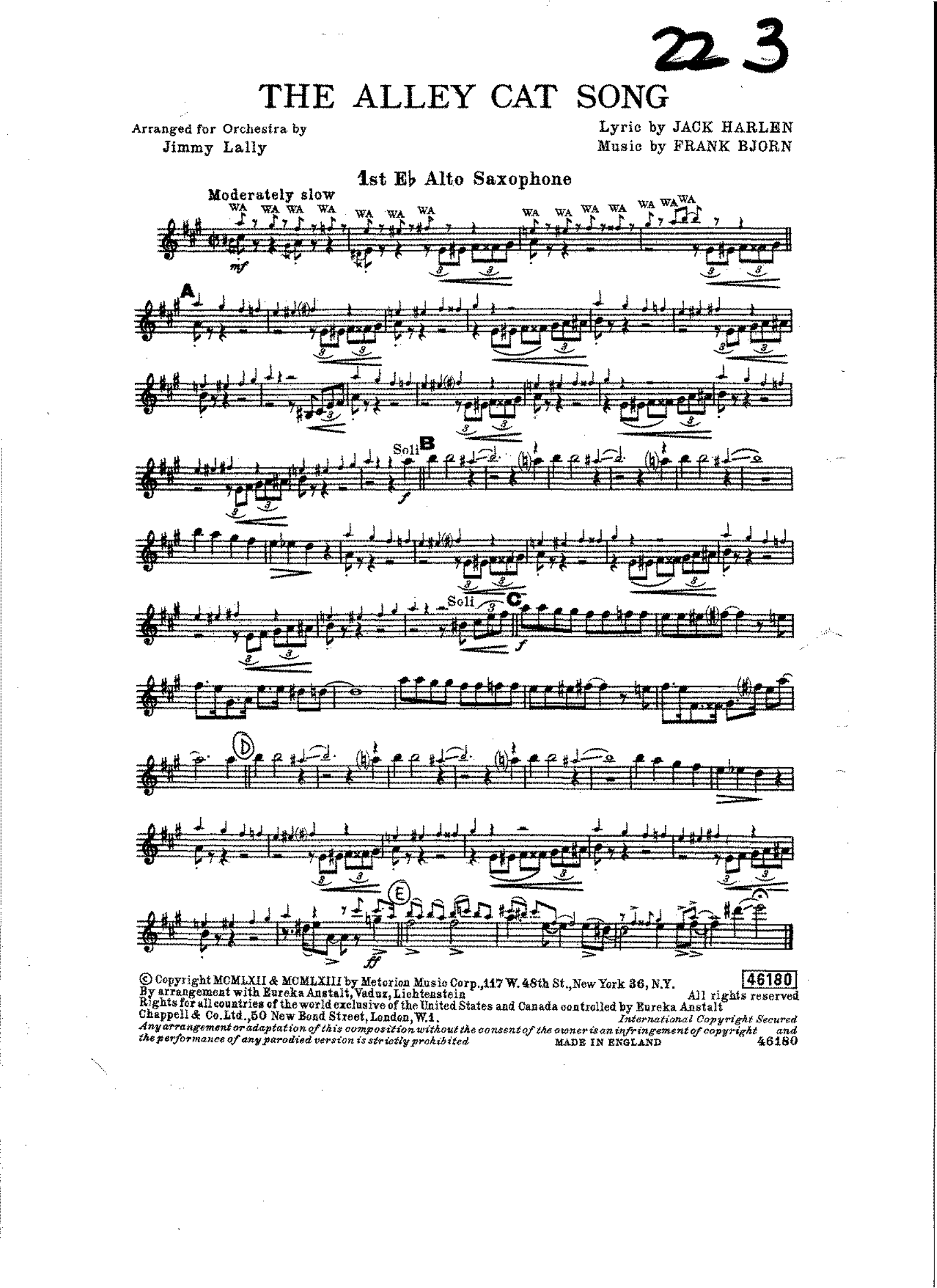 The Alley Cat Song (J.Lally)